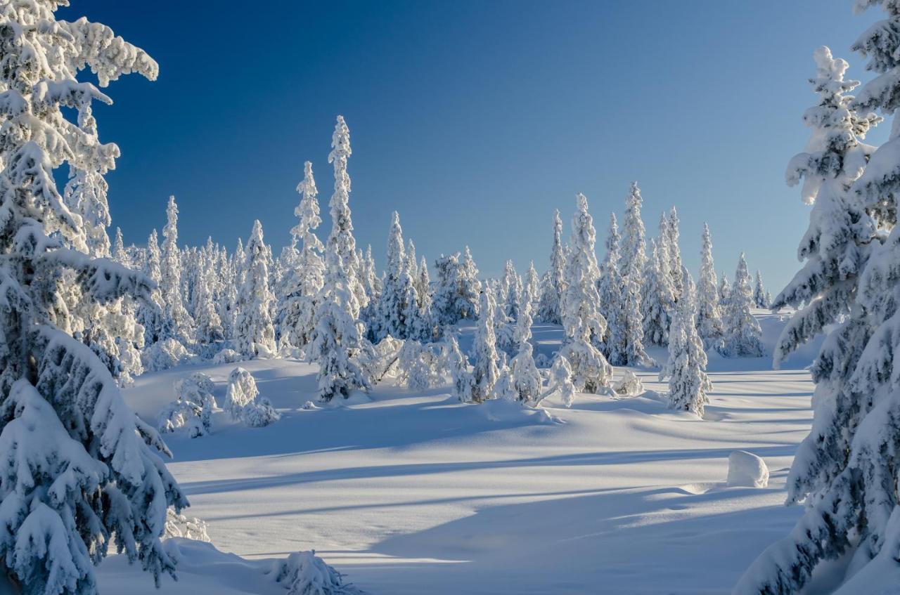 Blefjell Lodge Lampeland Екстер'єр фото