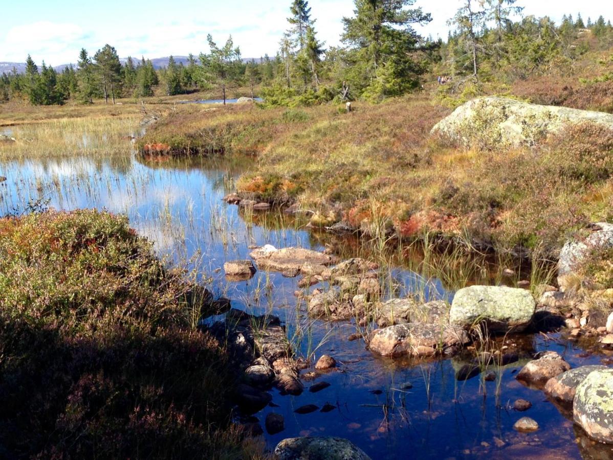 Blefjell Lodge Lampeland Екстер'єр фото